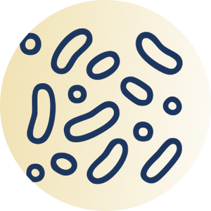 Inspired by the natural diversity of the gut microbiome